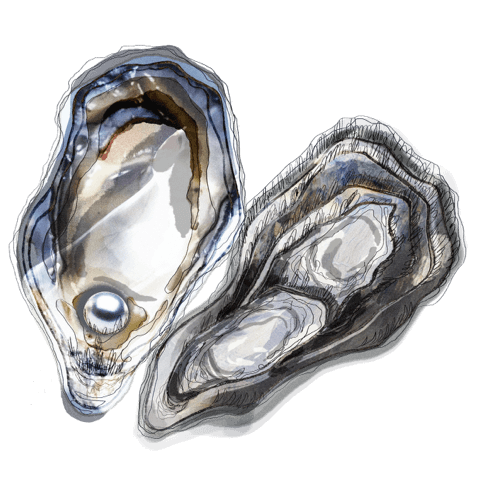 Tristan & Becca's Wedding